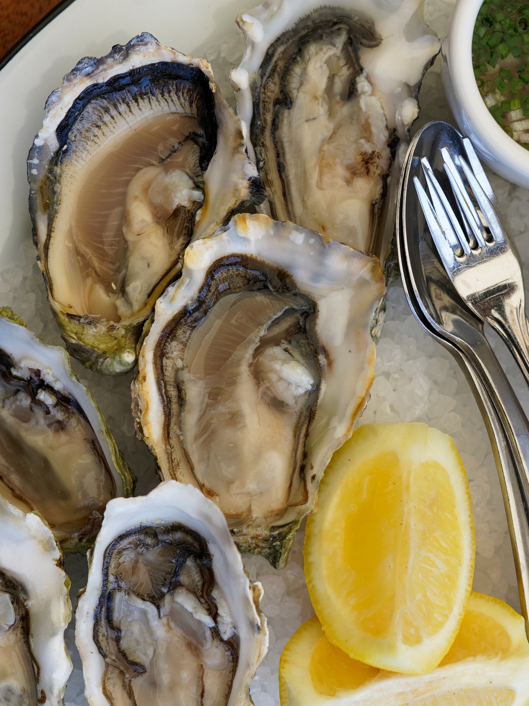 Close-up of fresh oysters on ice with lemon wedges and green garnish in a bowl