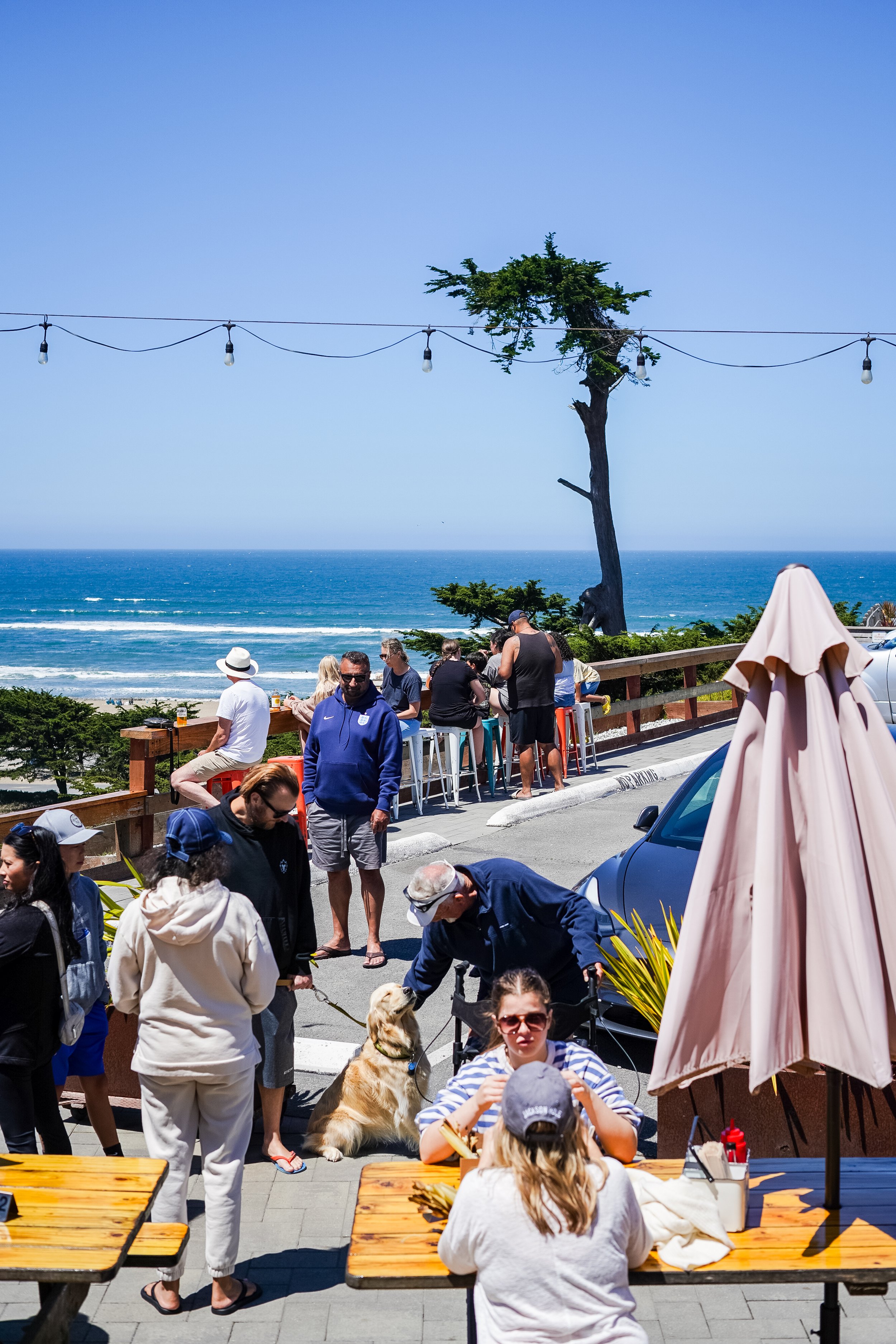 People dining outdoors at a beachside restaurant with ocean views, some seated at tables and others standing, with dogs and umbrellas, under a clear blue sky.