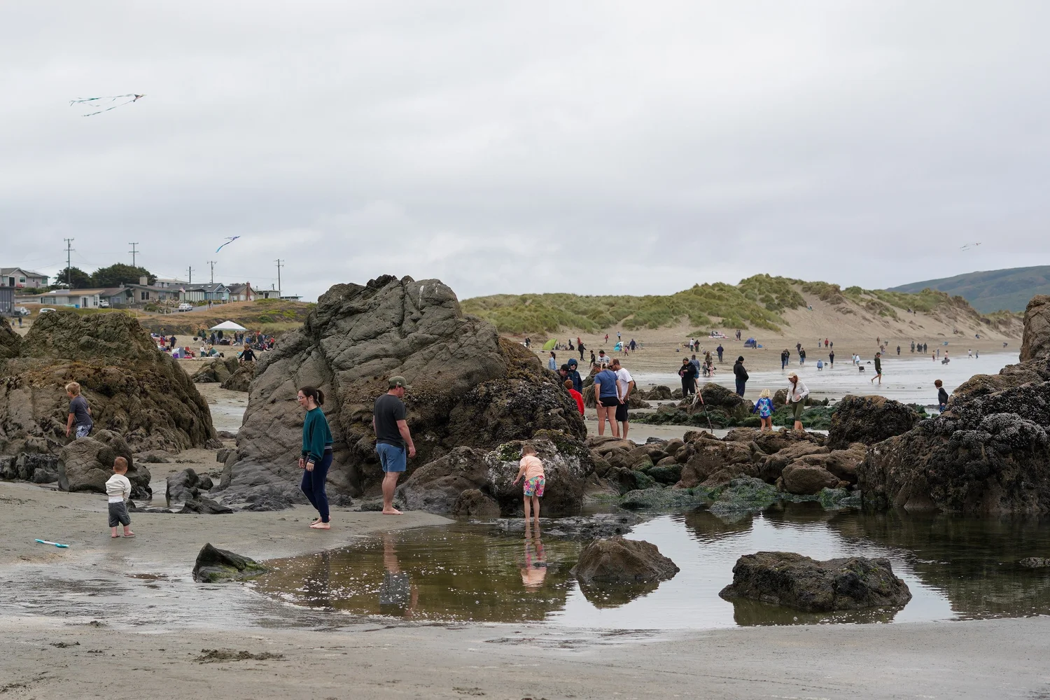 People enjoying a day at the beach, walking among rocks and sand with some flying kites in the cloudy sky, and houses on hills in the background.