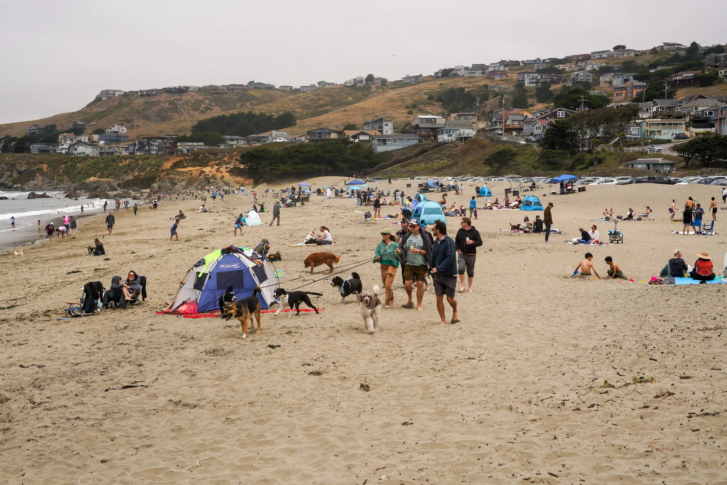 People enjoying a day at the beach with dogs, tents, and umbrellas along the shoreline, with houses on a hillside in the background.